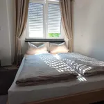 Rent 2 bedroom apartment of 60 m² in Nürnberg