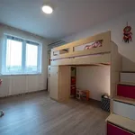 Rent 1 bedroom house of 764 m² in Heršpice