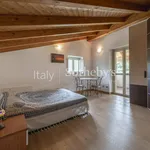 Rent 12 bedroom house of 300 m² in Borgo Ticino