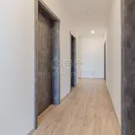 Rent 1 bedroom house of 210 m² in Veselí nad Lužnicí