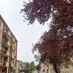 Rent 3 bedroom apartment of 75 m² in Padova