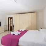 Rent 1 bedroom apartment in Naples