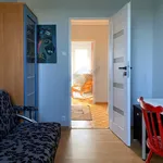 Rent 4 bedroom apartment of 66 m² in Poznan