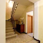 Rent 2 bedroom apartment of 55 m² in Treviso