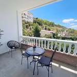 Rent 1 bedroom apartment in Cómpeta