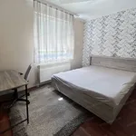 Rent 6 bedroom apartment of 160 m² in Kecskemét