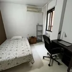 Rent a room in madrid