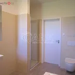 Pronajměte si 1 ložnic/e dům o rozloze 147 m² v Dolní Břežany