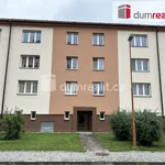 Rent 3 bedroom apartment of 61 m² in Zruč nad Sázavou