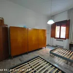 Rent 2 bedroom apartment of 60 m² in Bologna