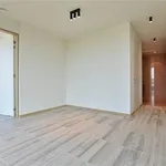 Huur 2 slaapkamer appartement in DENDERMONDE