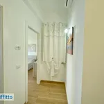 Rent 3 bedroom apartment of 100 m² in Brindisi