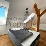 Rent 1 bedroom apartment of 55 m² in City of Zagreb