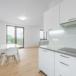 Rent 3 bedroom apartment of 80 m² in Capital City of Prague