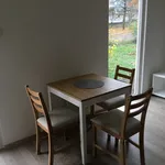 Rent 2 bedroom house of 48 m² in Šestajovice