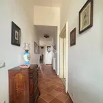 Rent 4 bedroom apartment of 177 m² in Napoli