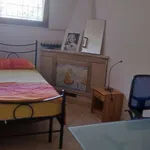 Rent 1 bedroom apartment of 55 m² in rome