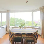 Rent 1 bedroom apartment in brussels