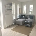 Rent 1 bedroom apartment of 50 m² in Aalborg