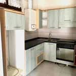 Rent 2 bedroom apartment of 50 m² in Ferrara