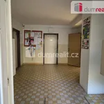 Rent 4 bedroom apartment of 73 m² in České Budějovice