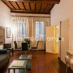 Rent 1 bedroom apartment of 30 m² in Florence