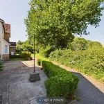 Rent 2 bedroom house in Colchester