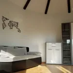 Rent 5 bedroom apartment of 84 m² in Leverkusen