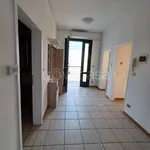 Rent 3 bedroom apartment of 80 m² in Padova