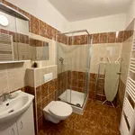 Pronajměte si 1 ložnic/e byt o rozloze 27 m² v Prague