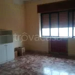 Rent 3 bedroom apartment of 110 m² in San Marco Argentano