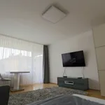 Rent 1 bedroom apartment of 34 m² in München