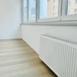 Rent 2 bedroom apartment in Brno