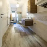 Rent 6 bedroom apartment in Bologna