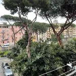 Rent 2 bedroom apartment of 70 m² in Naples