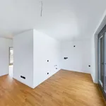 Rent 1 bedroom apartment in berlin