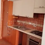 Rent 2 bedroom apartment of 45 m² in Roma