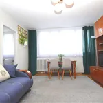 Rent 2 bedroom apartment of 39 m² in świdnica