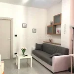 Rent 2 bedroom apartment of 45 m² in Torino