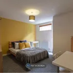 Rent 4 bedroom apartment in East Midlands