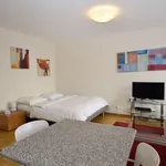 Miete 1 Schlafzimmer wohnung von 35 m² in Zürich