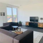 Rent 2 bedroom apartment of 861 m² in Eindhoven