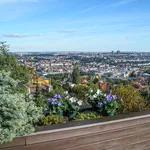 Pronajměte si 6 ložnic/e dům o rozloze 305 m² v Prague