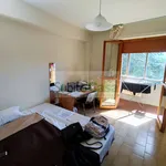 Rent 5 bedroom apartment of 80 m² in Chieti