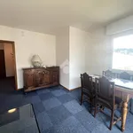 Rent 4 bedroom apartment of 100 m² in Trento