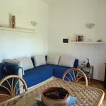 Rent 3 bedroom apartment of 80 m² in Roma