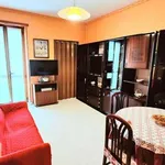 Rent 2 bedroom apartment of 60 m² in Turin