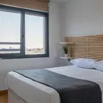 Rent 1 bedroom apartment of 50 m² in madrid