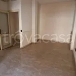 Rent 4 bedroom apartment of 140 m² in Grottaferrata