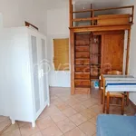 Rent 1 bedroom apartment of 20 m² in Torino